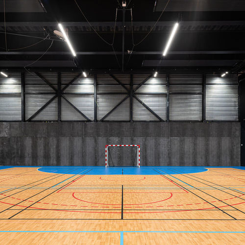 屋内用スポーツ施設用床材 - OMNISPORTS ACTIVE + - Tarkett PROFESSIONAL - ビニール製 / 業務用 / 防音