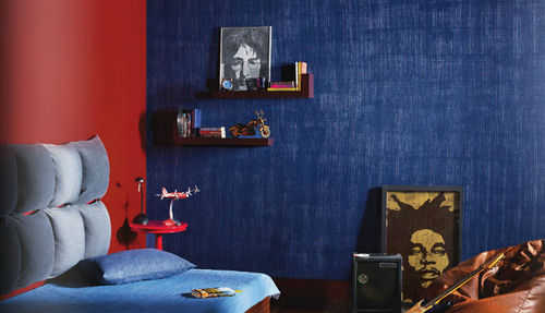 装飾塗料 - DENIM - ASIAN PAINTS - 屋内 / 壁用 / エフェクト