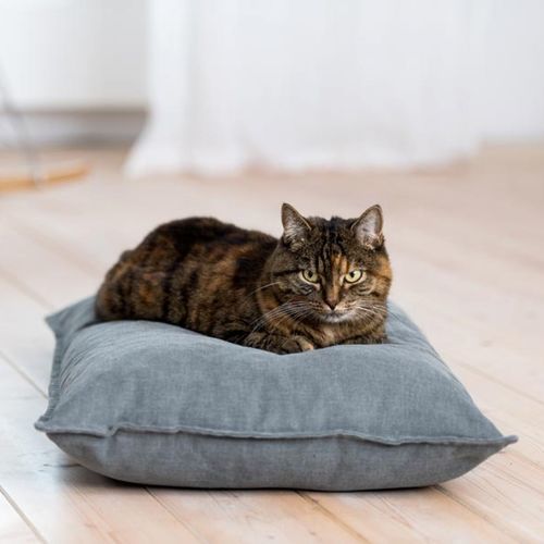 ペット用（犬と猫）クッション - DIVAN UNO - pet.interiors - 正方形 / 長方形 / 円形
