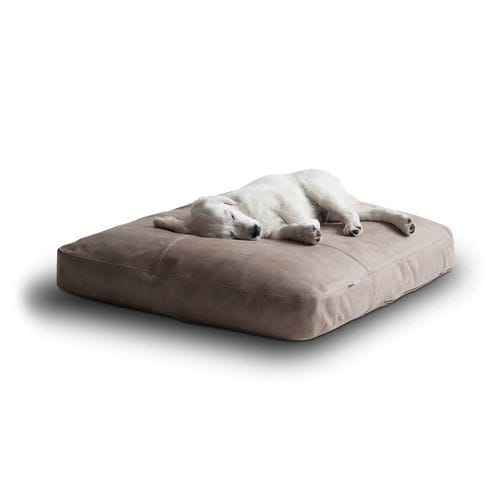 ペット用（犬と猫）クッション - SOFY - pet.interiors - 正方形 / 長方形 / 円形