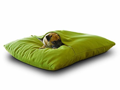 ペット用（犬と猫）クッション - DIVAN DUE - pet.interiors - 長方形 / 無地 / 家庭用