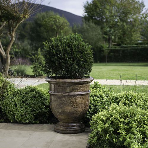 テラコッタ植木鉢 - VPL - Poterie Goicoechea - 円形