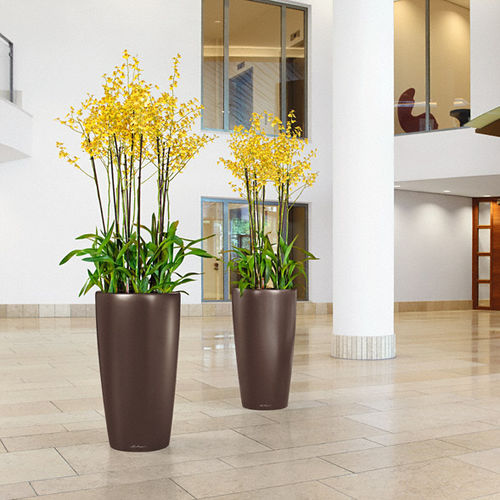 プラスチック製植木鉢 - RONDO - Lechuza - 円錐