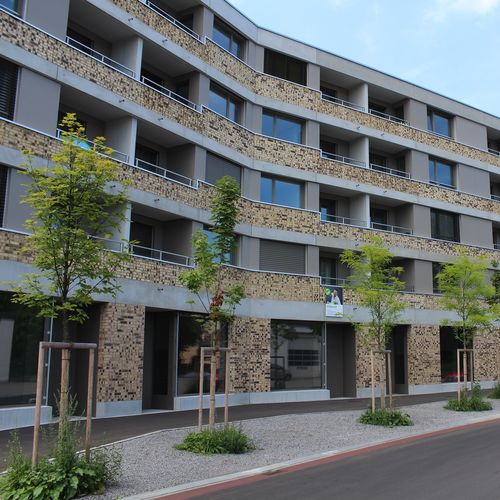 通気ファサード用サイディング - CELLON-MFH BADEN - Bruag Design Factory AG - パネル / HPL / テクスチャード仕上げ