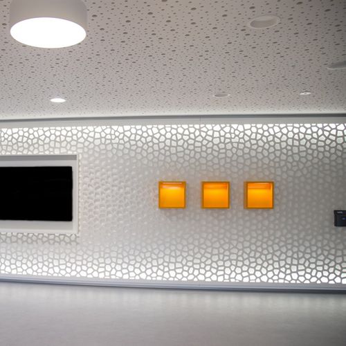 屋内用壁面装飾材 - ENBW ELLWANGEN - Bruag Design Factory AG - テクスチャード仕上げ / 穴あき / 第三次産業用