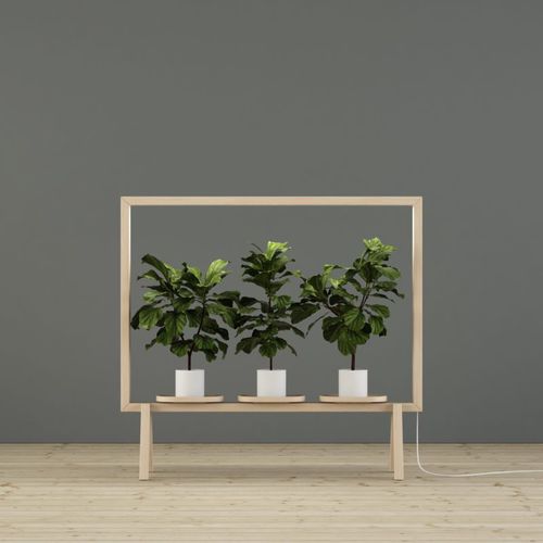 アルミニウム製植物用サポート - GREENFRAME - GLIMAKRA - 木製 / アーチ形 / 装飾