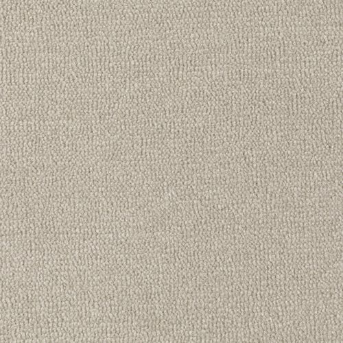 房状カ－ペット - STAR DUNE - Axminster carpets - ナイロン製 / ポリエステル製 / ベロア