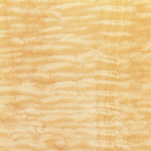 木製ベニア - AMERICAN MAPLE - SCHORN&GROH