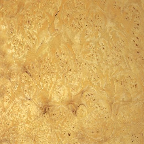 木製ベニア - MYRTLE BURL - SCHORN&GROH