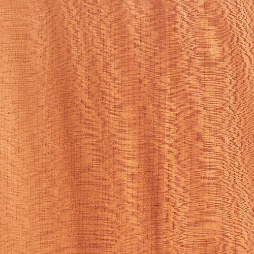 木製ベニア - EUROPEAN LACEWOOD - SCHORN&GROH