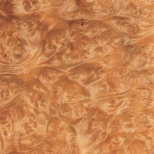 木製ベニア - LAUREL BURL - SCHORN&GROH