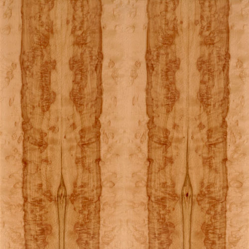 木製ベニア - SELECT : HEARTED BEECH BURL - SCHORN&GROH