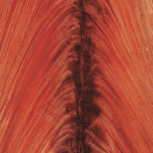 木製ベニア - AFRICAN MAHOGANY - SCHORN&GROH