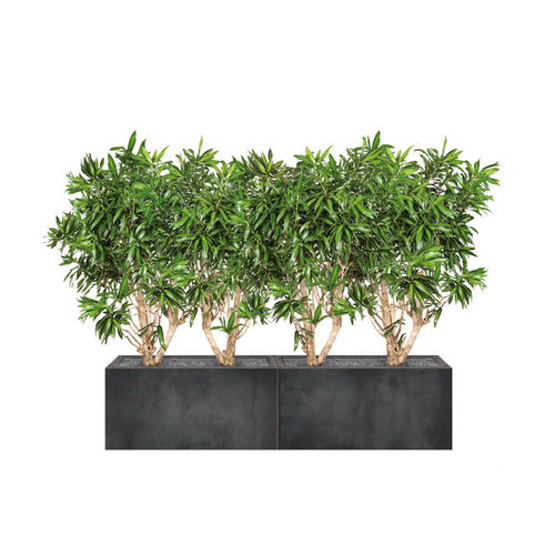 石製プランター - DRACAENA - Artaqua - 長方形 / モジュラー式 / 現代風