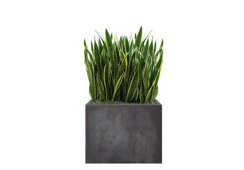 石製プランター - SANSEVIERIA - Artaqua - 長方形 / モジュラー式 / 現代風