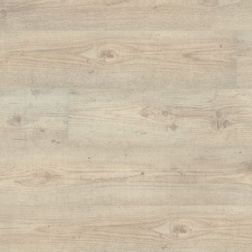 HDFラミネートフローリング - 500 XL V4 : DENALI PINE - windmöller flooring products WFP GmbH - クリップ式 / 木目調 / 家庭用