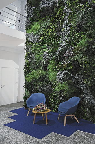 安定緑化壁 - FOREST - Greenmood - 屋内用