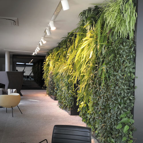 安定緑化壁 - VERTICAL  - Green Urban Life GmbH - 生きている植物 / モジュール式パネル / オーダーメイド