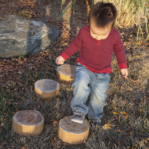 プレイグランド用障害物コース - WOOD STEPPING SLICE - Nature of Early Play