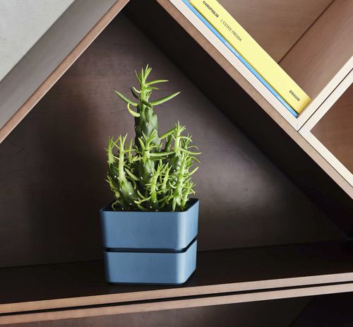 プラスチック製植木鉢 - VELETA - TeraPlast - 独立型 / 正方形 / 家庭用