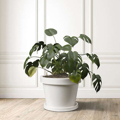 回転鋳型ポリエチレン製植木鉢 - Venere - PASQUINI & BINI - 独立型 / 円形 / 家庭用