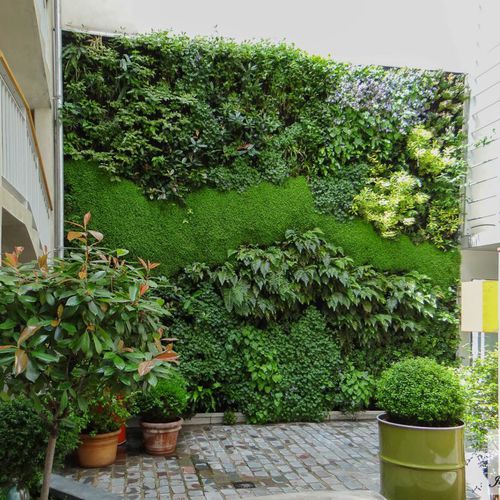 安定緑化壁 - JULES AND JIM HOTEL PARIS - Jardins de Babylone - モジュール式パネル / 天然 / コケ