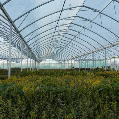 業務用温室 - 1.60M ATLANTIQUE HORTICULTURAL - Serres Jrc - ガーデニング / 連棟型 / アルミフレーム