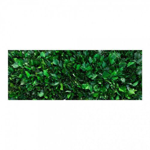 安定緑化壁 - GVS-500-16 - green Habitat - モジュール式パネル / 天然 / 屋内用