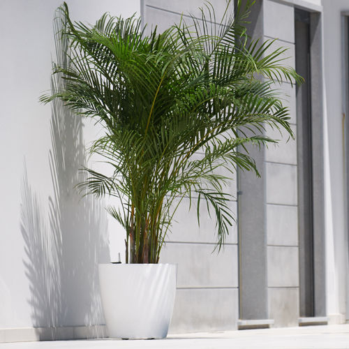 ポリプロピレン製植木鉢 - SAN REMO  - Artevasi, S.A - 正方形 / スマ－ト