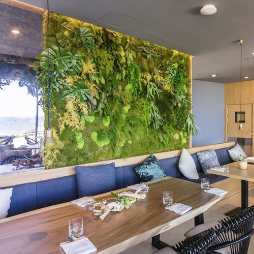 インドア野菜庭 - MOSS&PLANTS MID - Greenarea