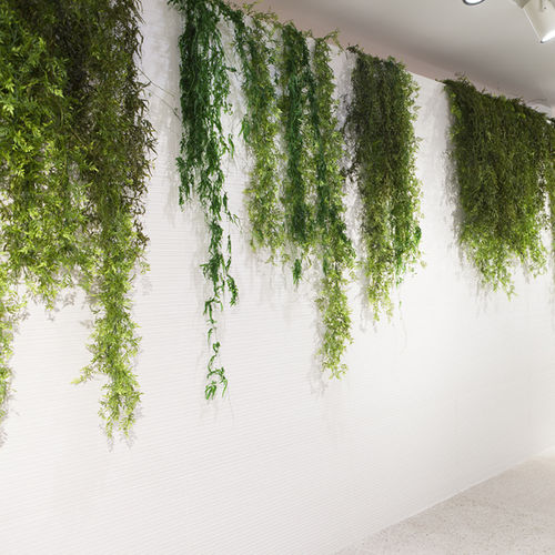 安定観賞植物 - MOSS&PLANTS HANGING PLANT - Greenarea - 吊り下げ式 / 屋内用
