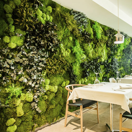 安定緑化壁 - Moss&Plants Mid - Greenarea - モジュール式パネル / 天然 / コケ