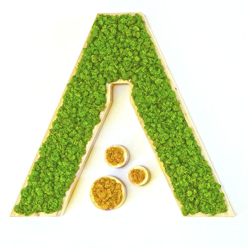 安定植物フレーム - MOSS IDENTITY - Greenarea - 安定地衣 / 屋内用 / オーダーメイド