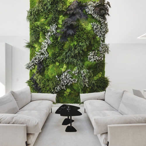 安定緑化壁 - MOSS&PLANTS MID - Greenarea - モジュール式パネル / オーダーメイド / 木の葉