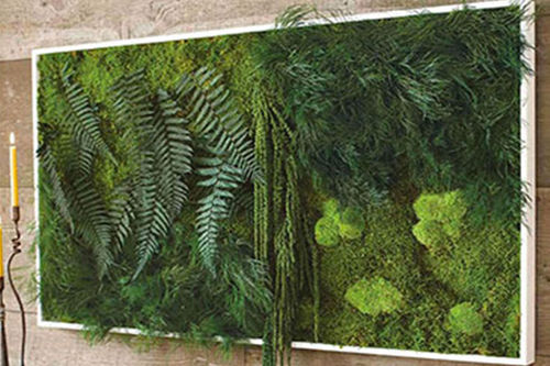 安定植物フレーム - PAINTINGS VEGETAL MAXI - BM PIANTE STABILIZZATE - コケ / 木の葉 / 屋内用