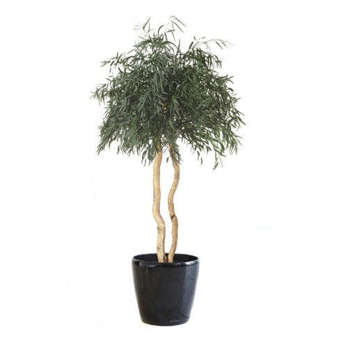 安定観賞植物 - NICOLY SUR TIGE - Végétal Indoor - ユーカリ / 大型サイズ / 屋内用