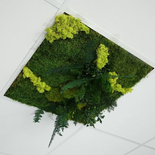 PET仮天井 - Verde - Végétal Indoor - タイル / 屋内用 / 防音