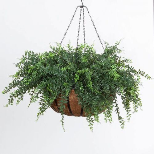 錬鉄製植木鉢 - BUCKLER FERN - PLANTERS UNLIMITED - ガラス繊維 / 吊り下げ式 / 円形