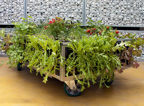 金属製プランター - AG ECO HUERTOS - AIR GARDEN - 長方形 / 車輪付き / 現代風