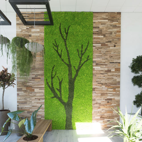 安定緑化壁 - Natural Greenwalls - 生きている植物 / コケ / 屋内用