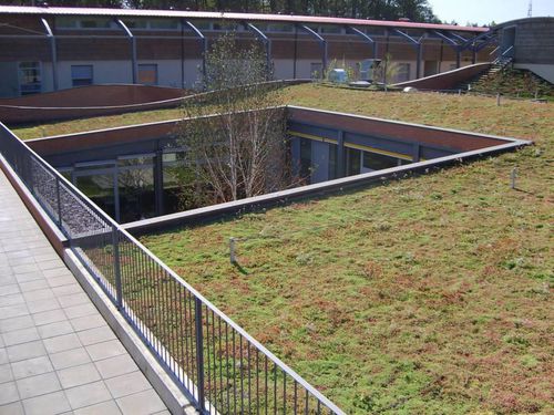 拡張緑化屋根 - SEDUM ROOFS - hedera screens - 平屋根 / 防水・防塵性能