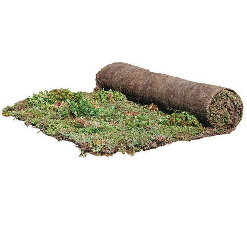 テラス屋根用緑化屋根 - SEDUM-MIX BLANKET - Urbanscape - ロール状 / 排水 / 雨水管理用