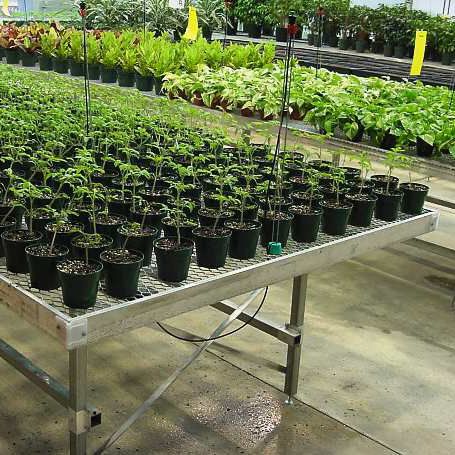 グリーンハウス用ベンチ - Ludy Greenhouse Manufacturing Corporation