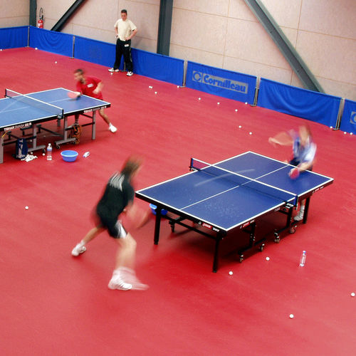 屋内用スポーツ施設用床材 - TARAFLEX® TABLE TENNIS - Gerflor - Contract Sport & Contract Flooring - PUR（ポリウレタン）製 / PVC / ガラス繊維