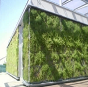 屋外用緑化壁 - SOPRANATURE® VIVAGREEN® - SOPREMA - モジュール式構造