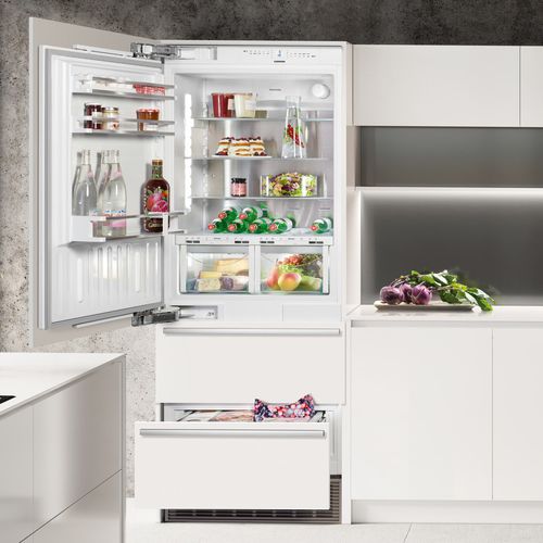 アップライト冷凍冷蔵庫 - ECBN 5066 PREMIUMPLUS BIOFRESH NOFROST - LIEBHERR - 引き出しタイプ / 家庭用 / 組み込み式