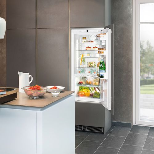 シングルドア冷蔵庫 - IKBP 2370 PREMIUM BIOFRESH - LIEBHERR - 家庭用 / 組み込み式 / 白