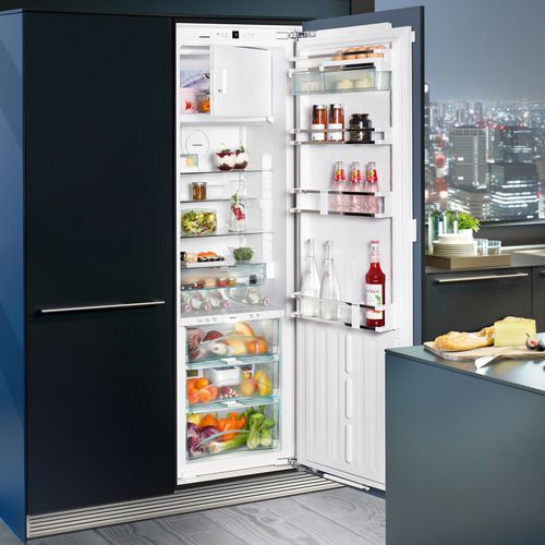 シングルドア冷蔵庫 - IKBP 3564 PREMIUM BIOFRESH - LIEBHERR - 家庭用 / 組み込み式 / 黒色