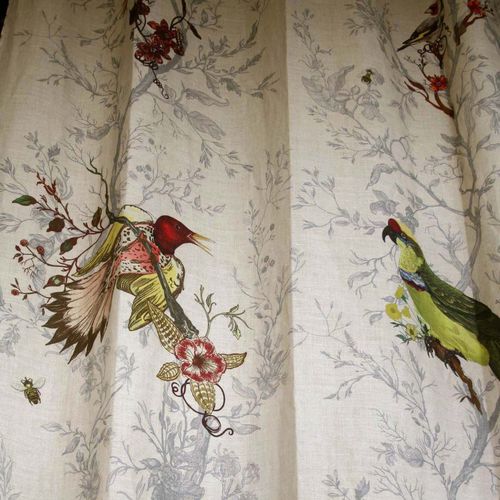 張り地 - BIRDS N BEES - Timorous Beasties - 動物柄 / コットン / リネン