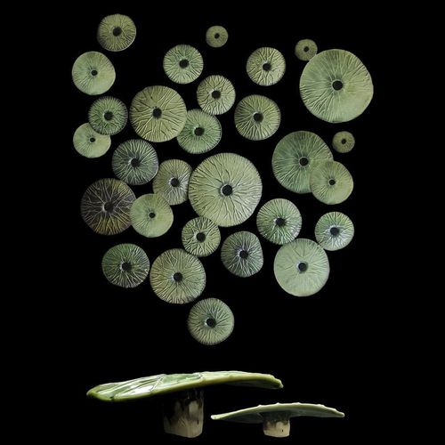 磁器製彫刻 - NINPHAEAE - ELICA STUDIO - 砂岩製 / 手作り / 壁取り付け式